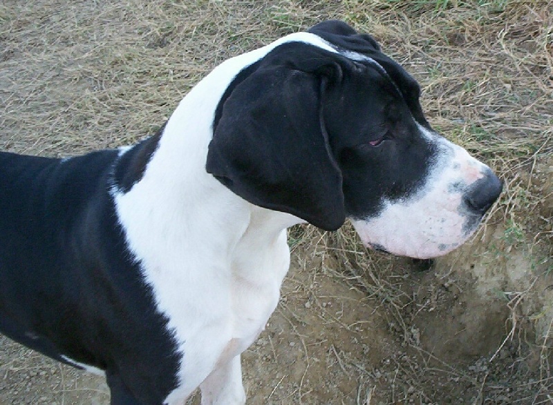 Diego de la vallée des trois lacs