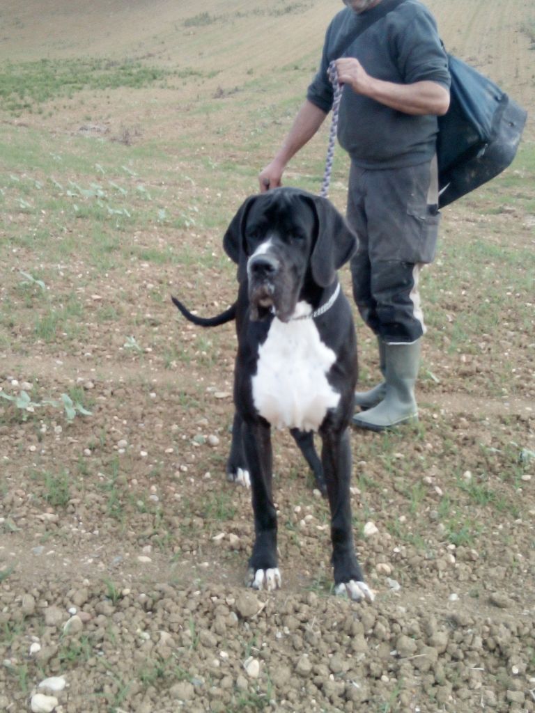 Pairoj De La Vallee Argentee